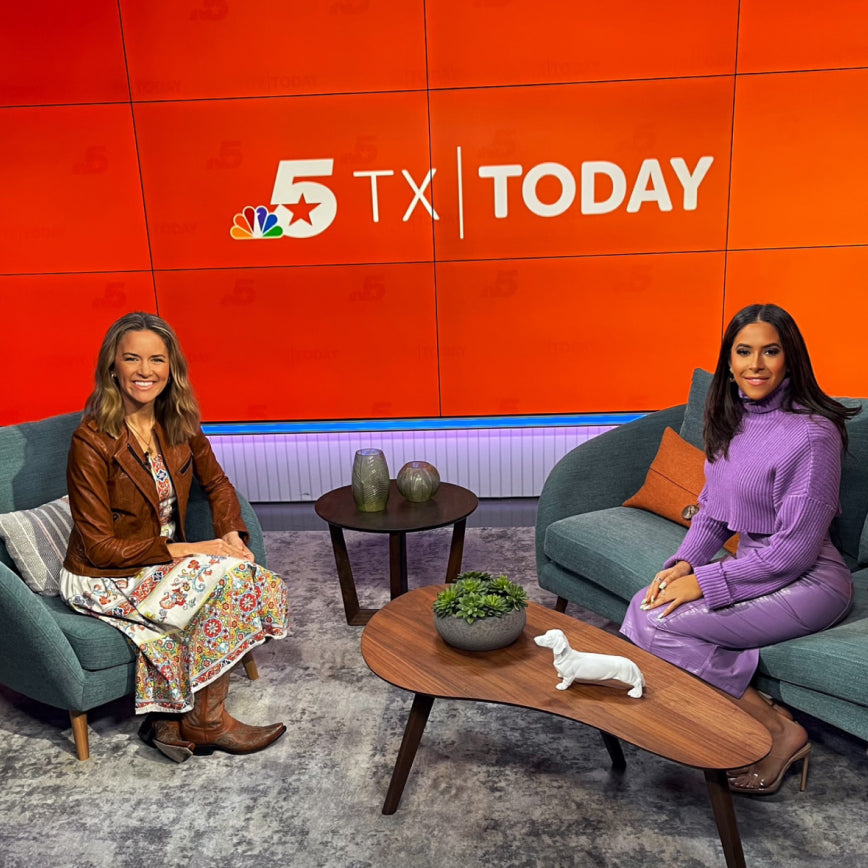 NBC 5 DFW: Fall in Love With Marian Mekhail's Colorful Works of Art